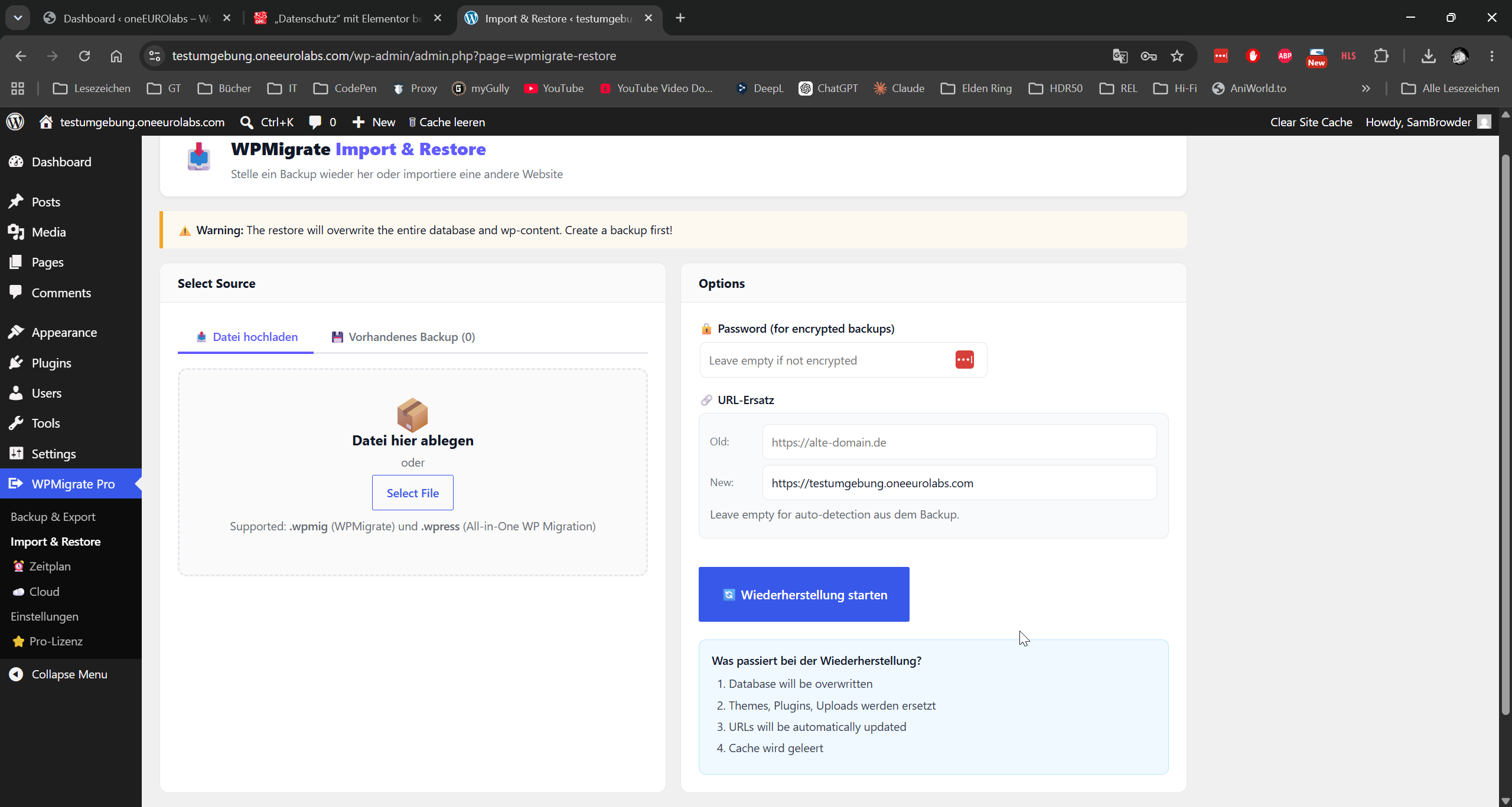 WPMigrate Screenshot 2