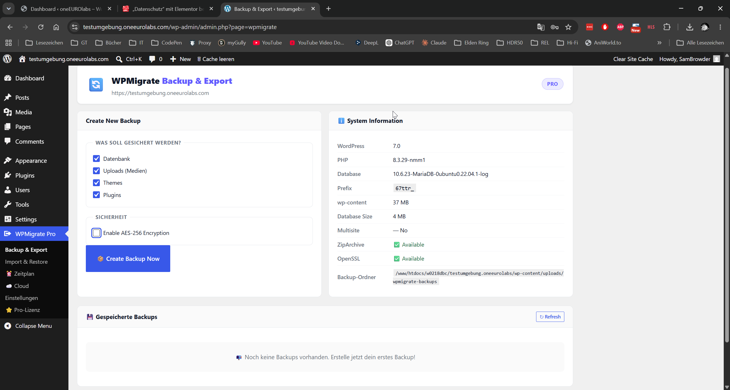 WPMigrate Screenshot 3